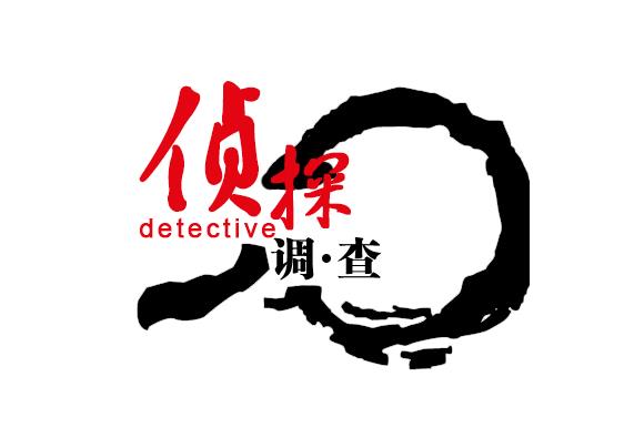調(diào)查公司是如何執(zhí)行任務(wù)的
